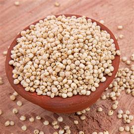 Great Millet (jowar) - 500 g